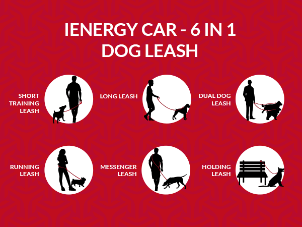iEnergy CAR - 6 in 1 Dog Leash - Creative Pet Alliance (UK) Ltd.