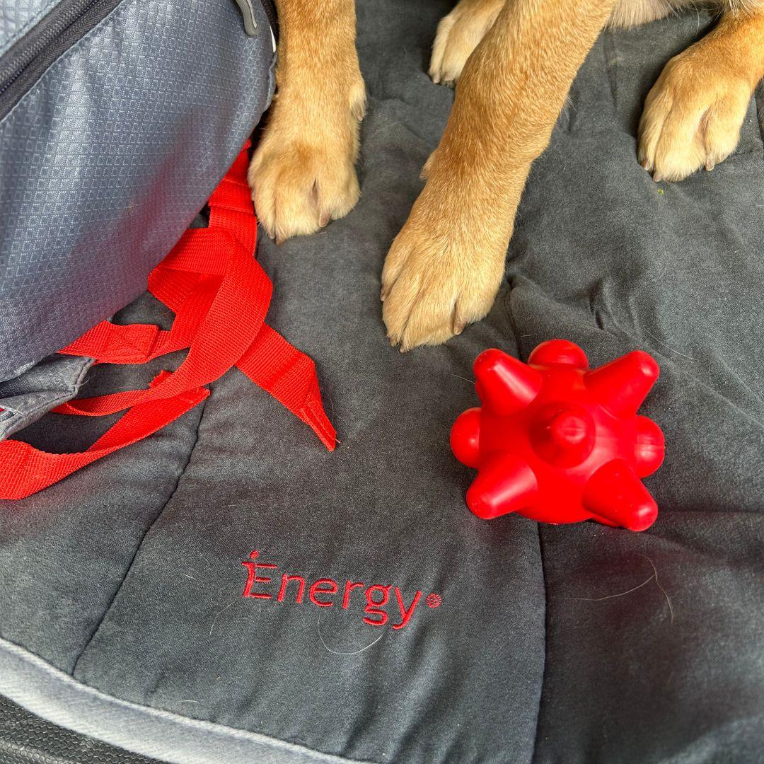 iEnergy TAN Ball - Creative Pet Alliance (UK) Ltd.