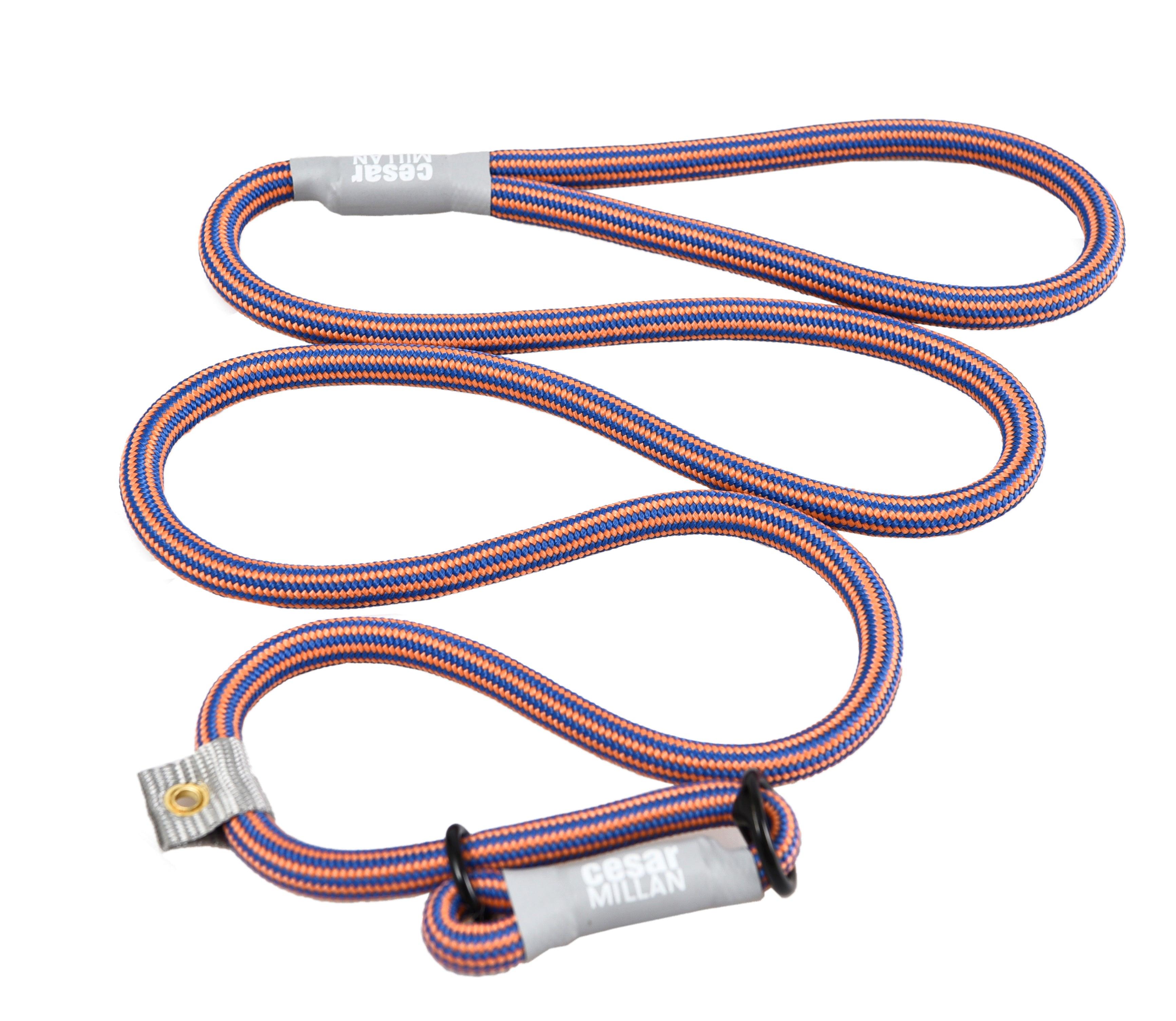 Cesar Millan™ Training Leash - Creative Pet Alliance (UK) Ltd.