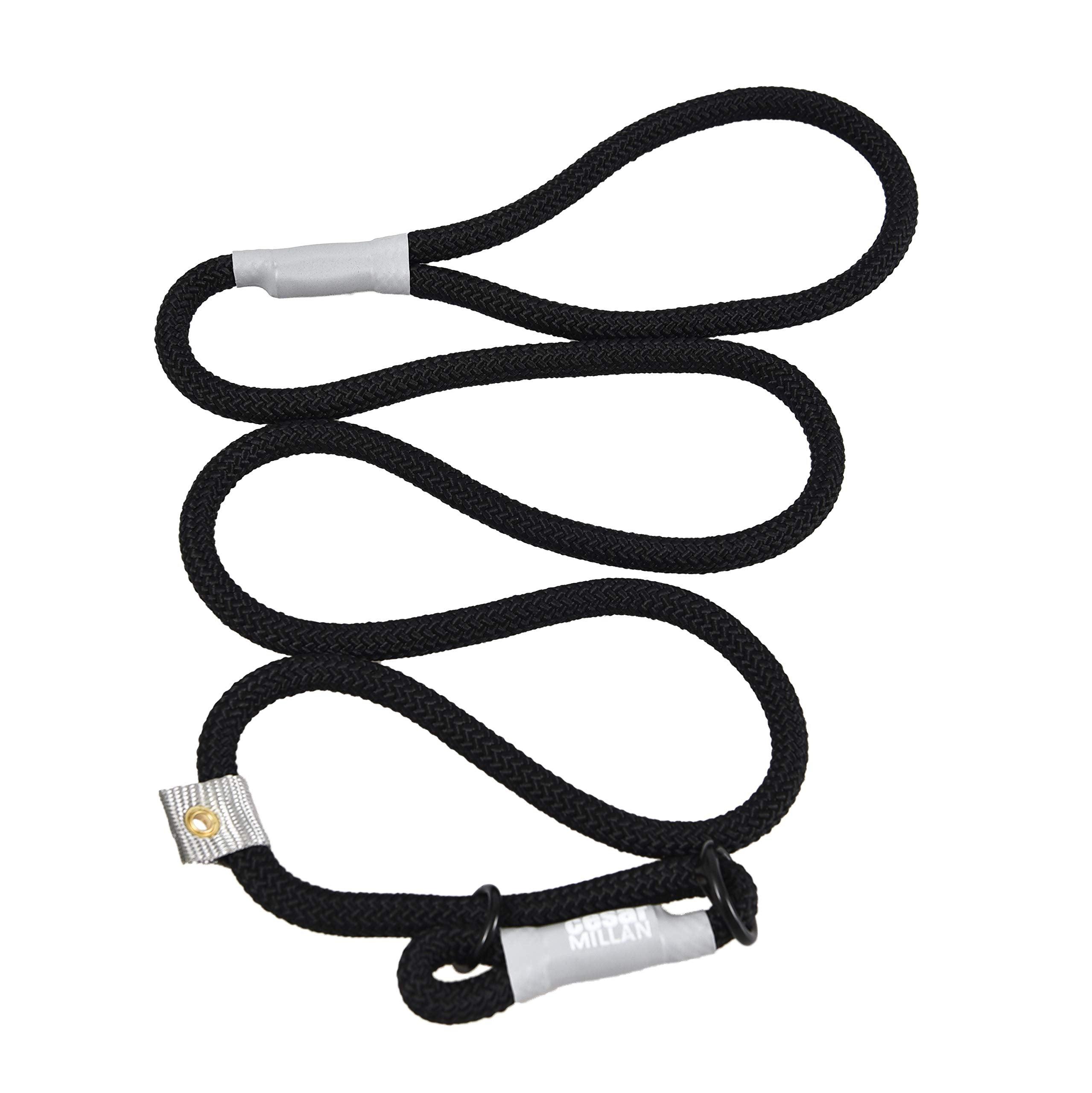 Cesar Millan™ Training Leash - Creative Pet Alliance (UK) Ltd.