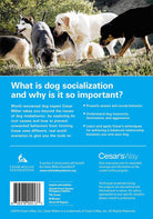 Cesar Millan Socialization™ DVD - Creative Pet Alliance (UK) Ltd.