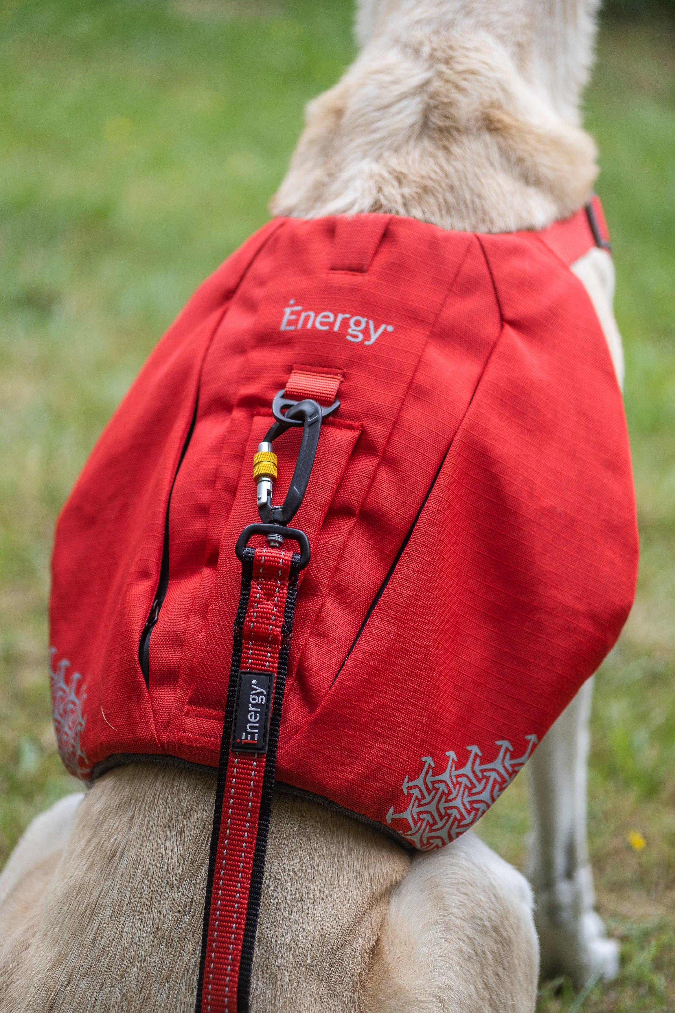iEnergy™ MIC Dog Harness - Creative Pet Alliance (UK) Ltd.