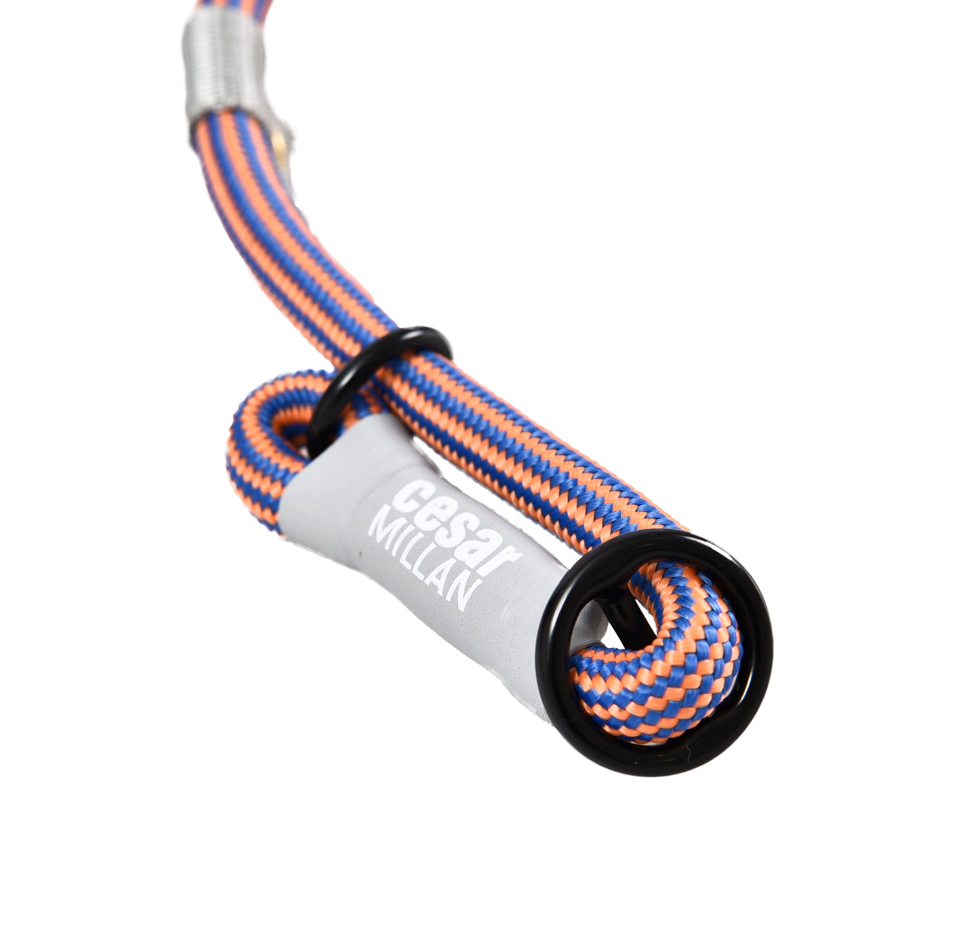 Cesar Millan™ Training Leash - Creative Pet Alliance (UK) Ltd.