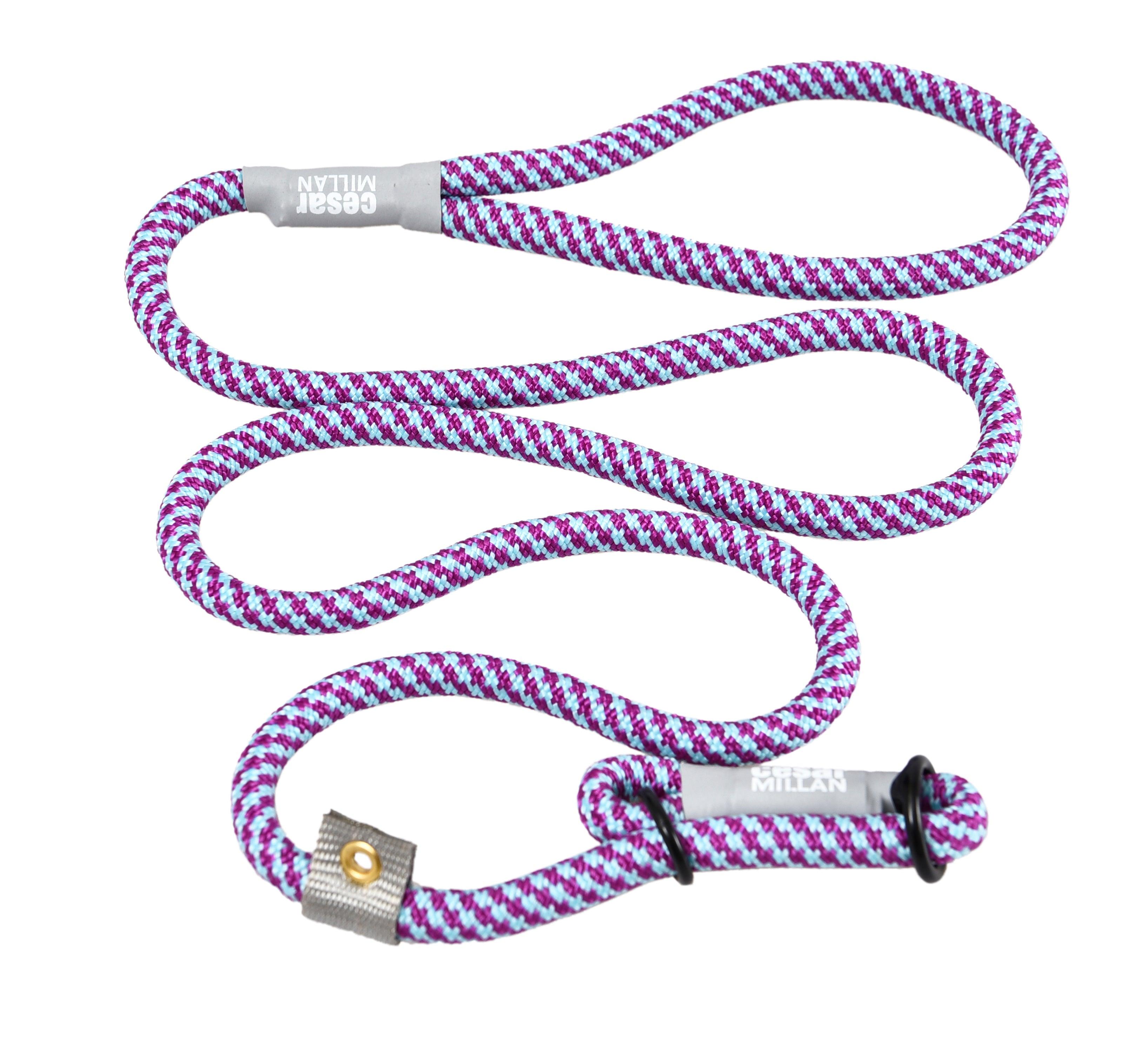 Cesar Millan™ Training Leash - Creative Pet Alliance (UK) Ltd.