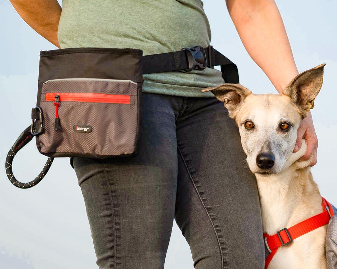 iEnergy ELI Training Belt - Creative Pet Alliance (UK) Ltd.