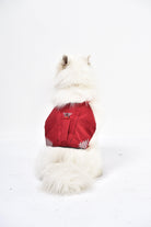 iEnergy™ MIC Dog Harness - Creative Pet Alliance (UK) Ltd.