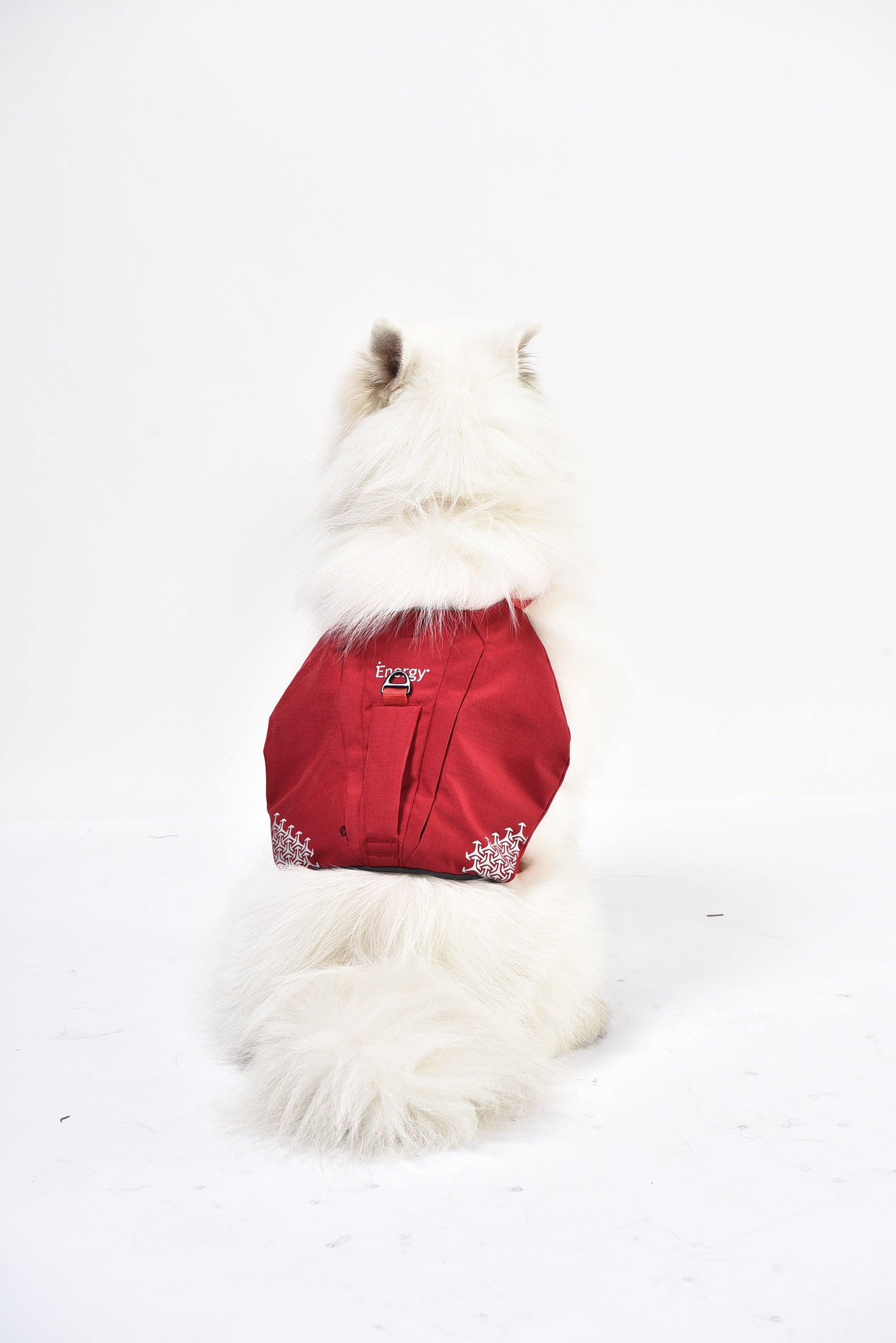 iEnergy™ MIC Dog Harness - Creative Pet Alliance (UK) Ltd.