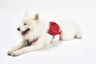 iEnergy™ MIC Dog Harness - Creative Pet Alliance (UK) Ltd.