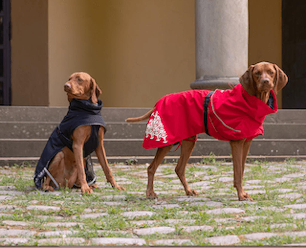 iEnergy LUN Water-Resistant Jacket - Creative Pet Alliance (UK) Ltd.
