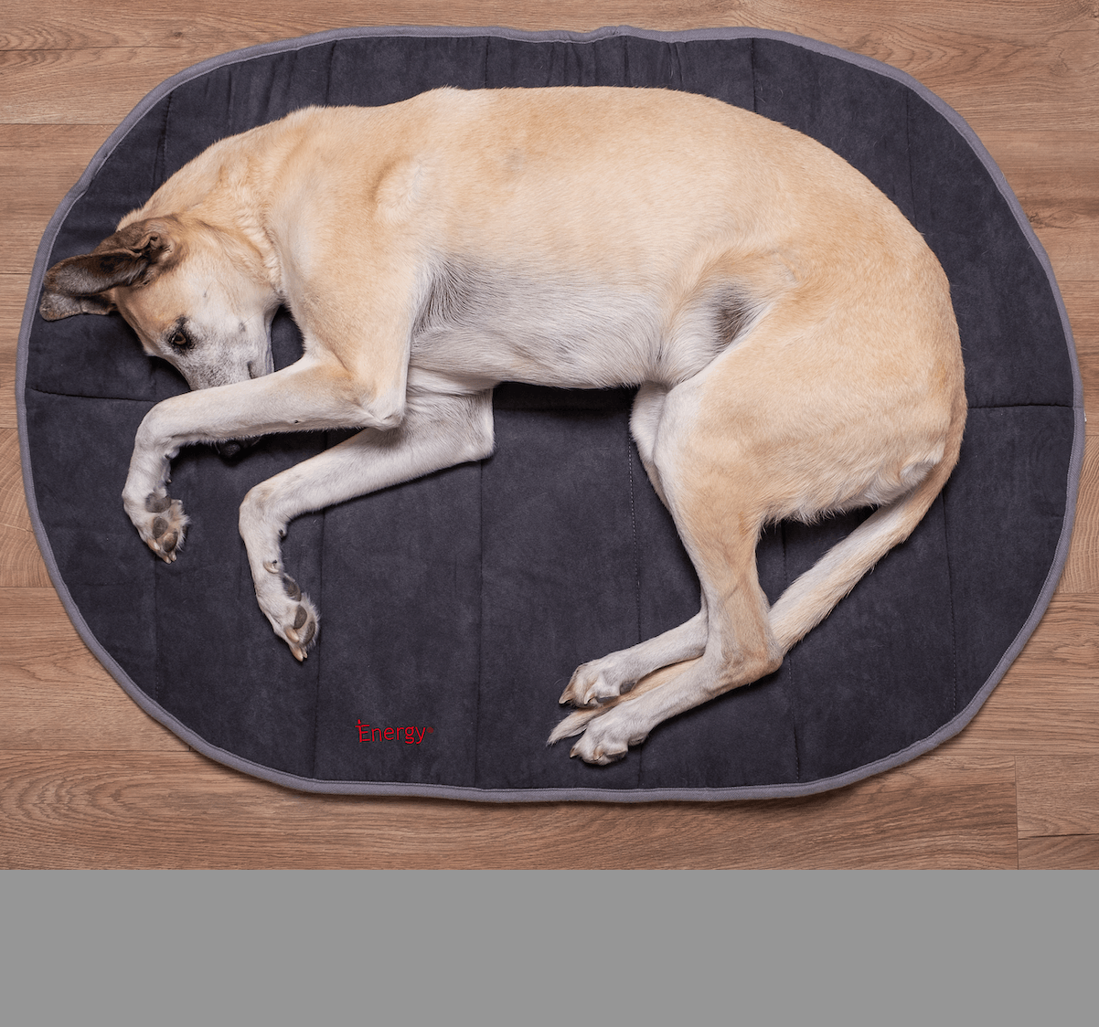 iEnergy™ BUR Resting Mat - Creative Pet Alliance (UK) Ltd.
