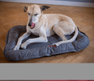 iEnergy GIS Slumber Mat with happy, resting dog