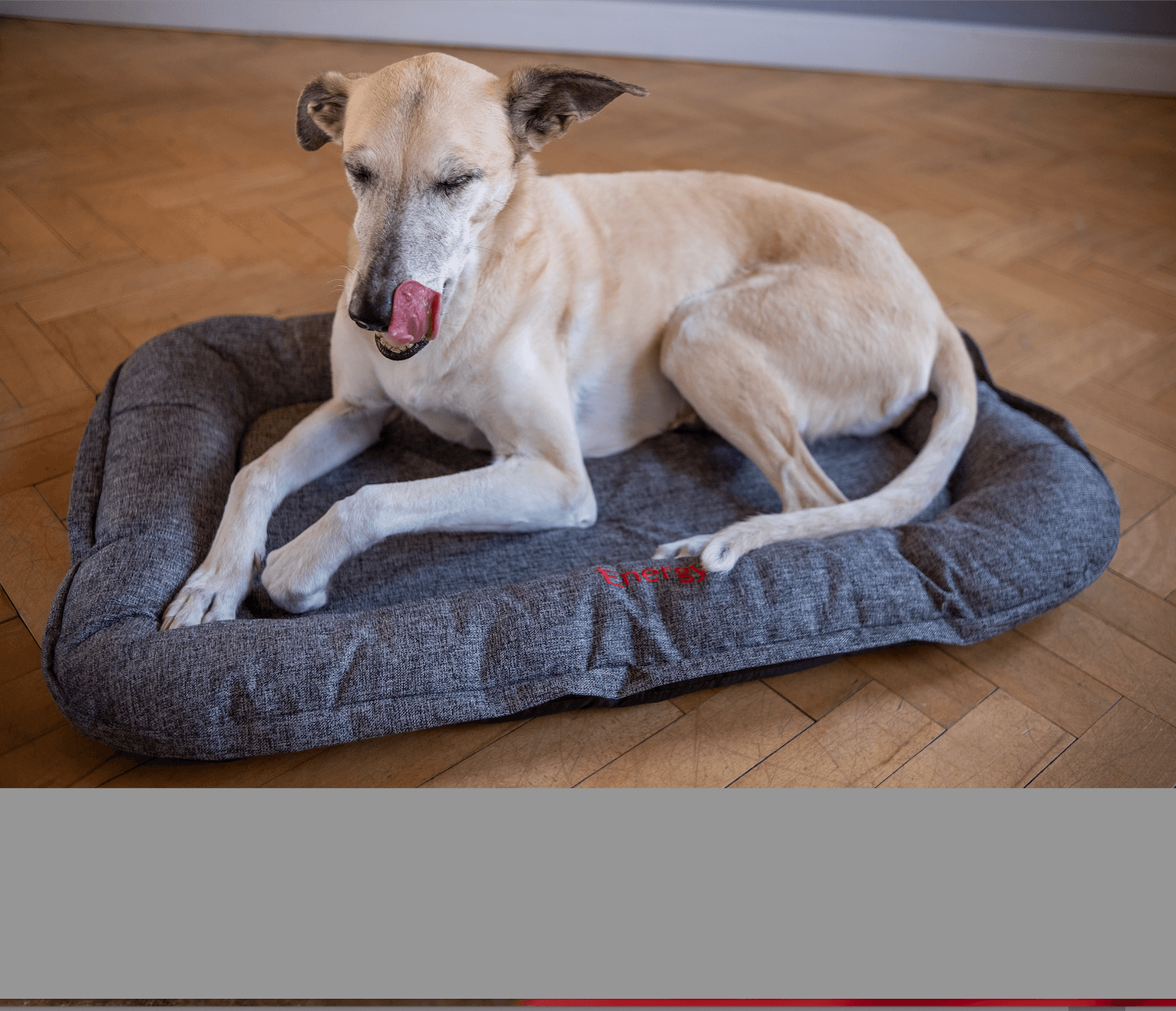 iEnergy GIS Slumber Mat with happy, resting dog
