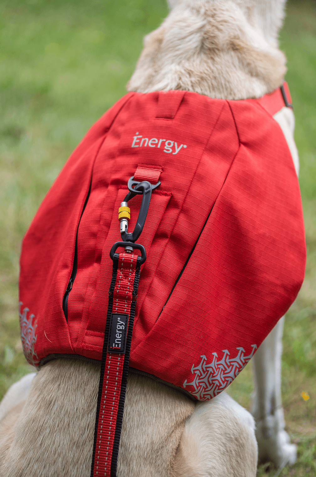 iEnergy CAR - 6 in 1 Dog Leash - Creative Pet Alliance (UK) Ltd.