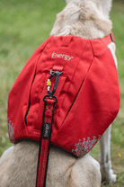 iEnergy CAR - 6 in 1 Dog Leash - Creative Pet Alliance (UK) Ltd.