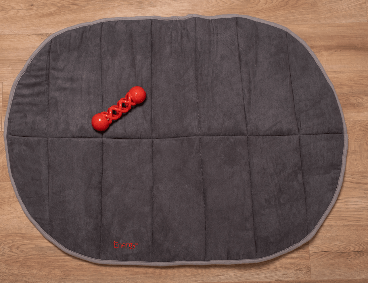 iEnergy DAV Dental Chew Toy - Creative Pet Alliance (UK) Ltd.