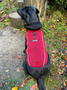 Dog Fleece Sweater