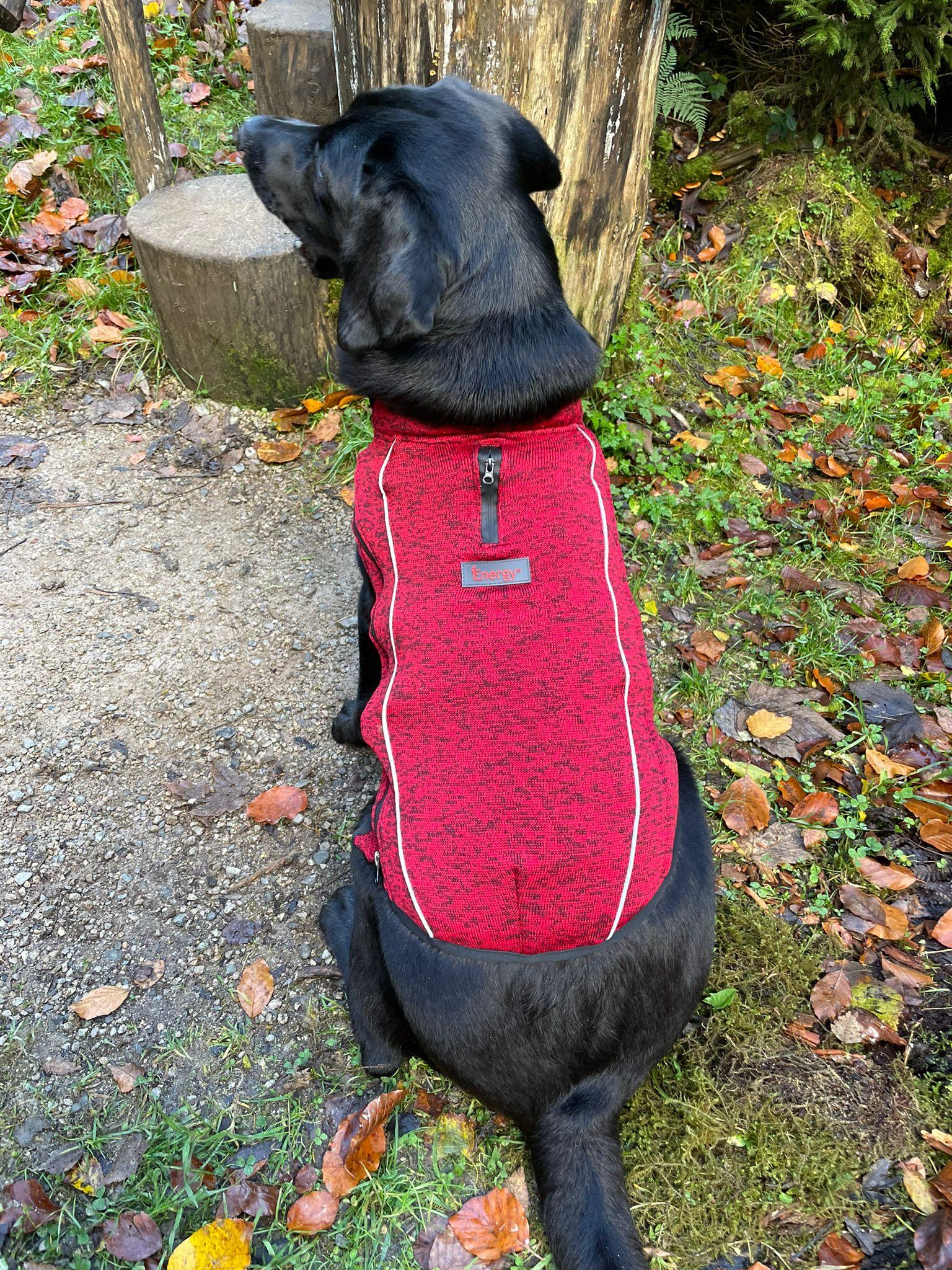 Dog Fleece Sweater