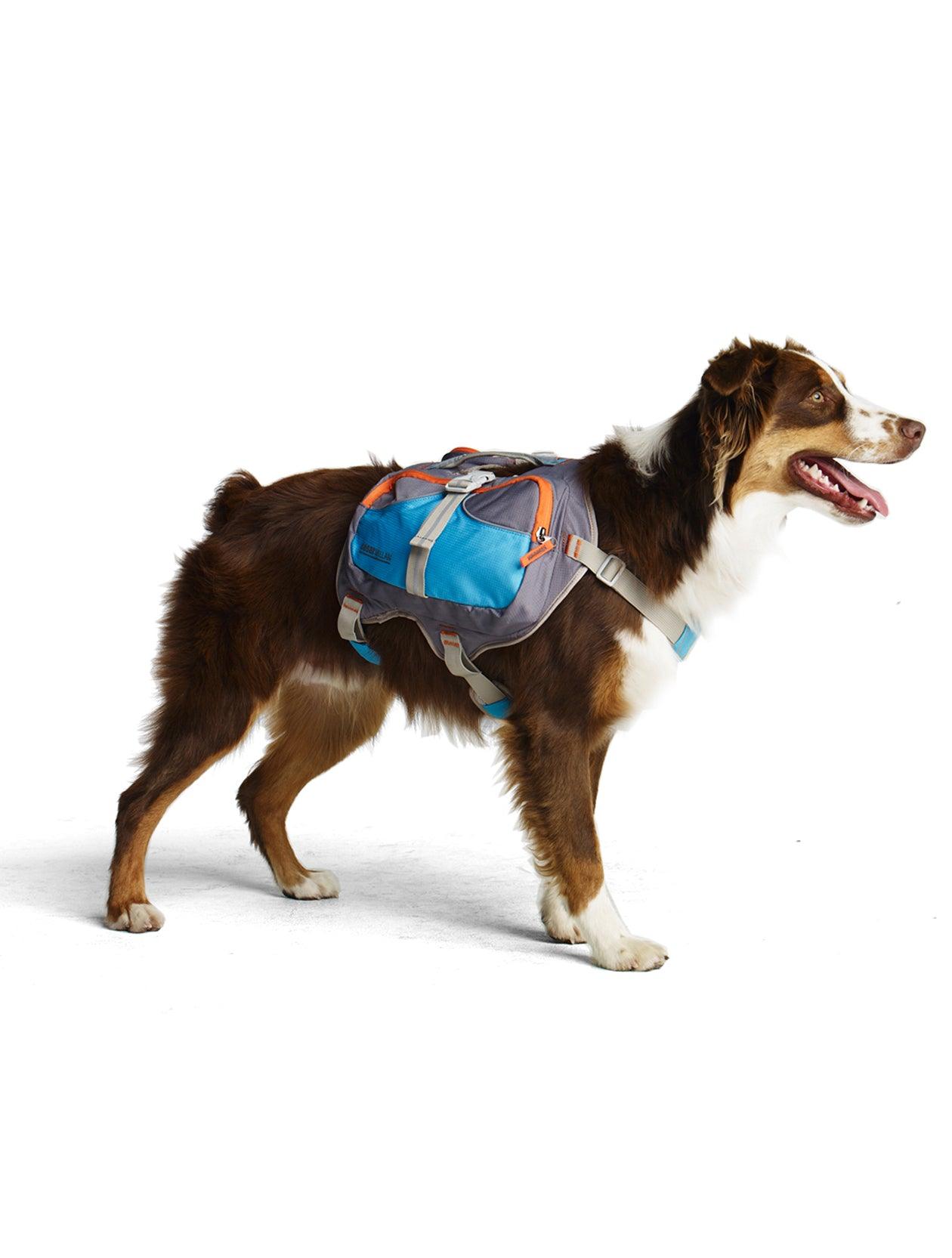 Cesar Millan™ Dog Backpack - Creative Pet Alliance (UK) Ltd.