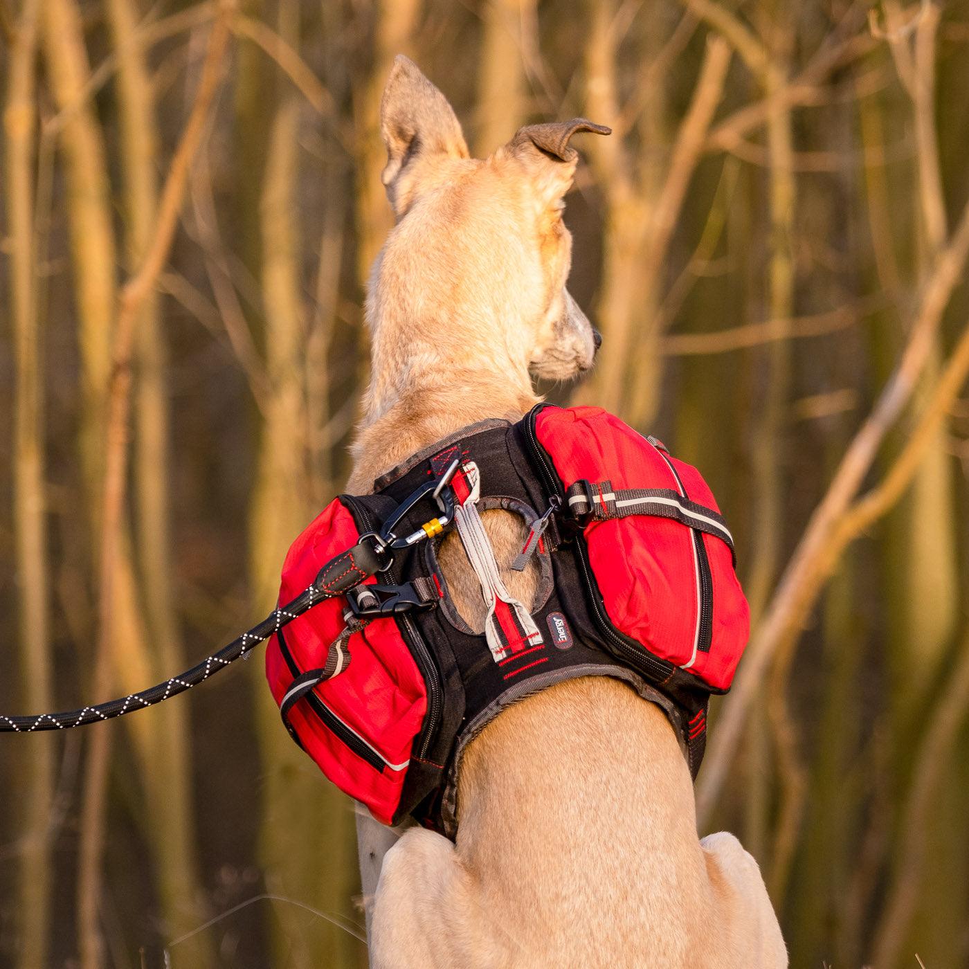 iEnergy MAL Dog Backpack - Creative Pet Alliance (UK) Ltd.