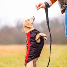 iEnergy™ GEM Sport Leash