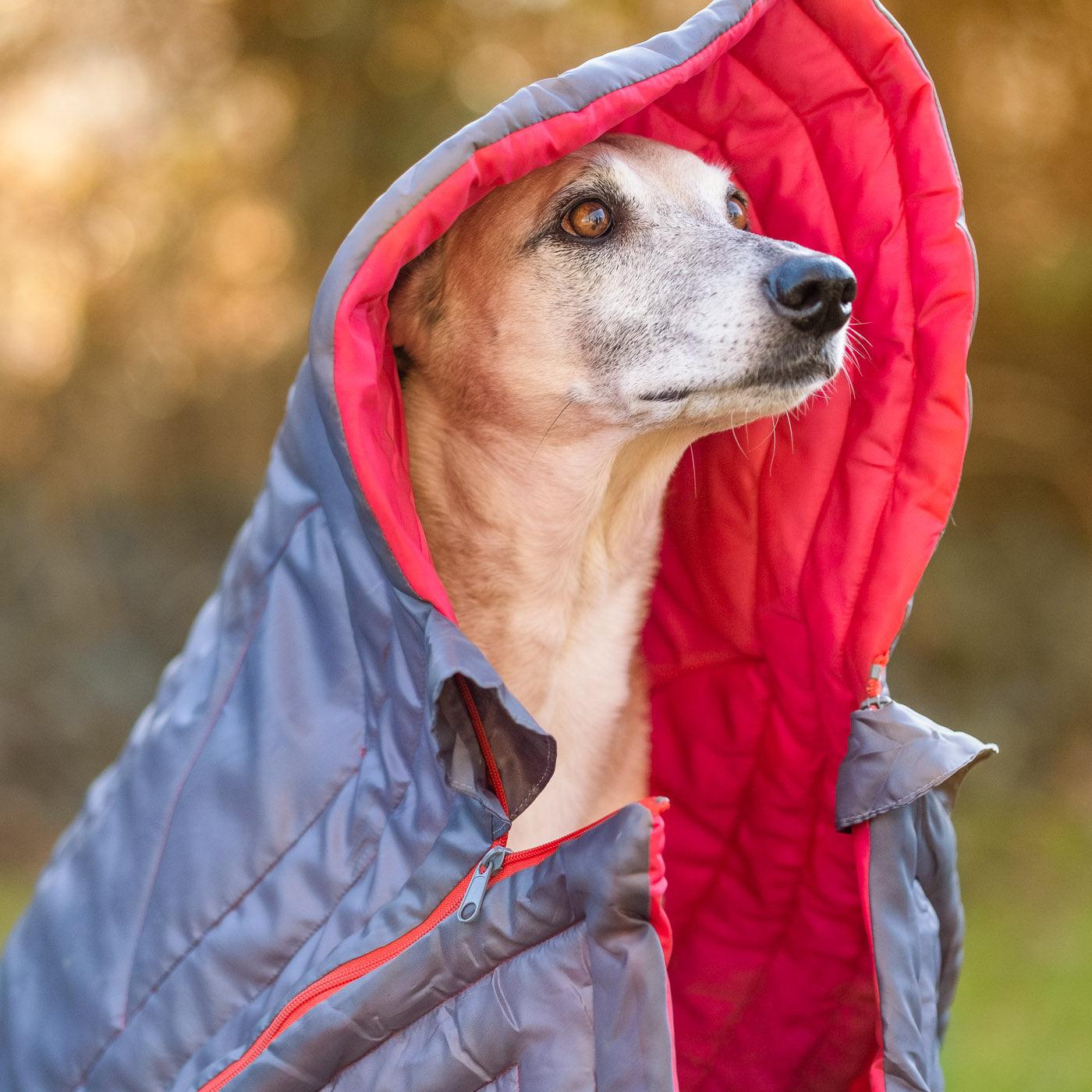 iEnergy JUL Dog Sleeping Bag - Creative Pet Alliance (UK) Ltd.