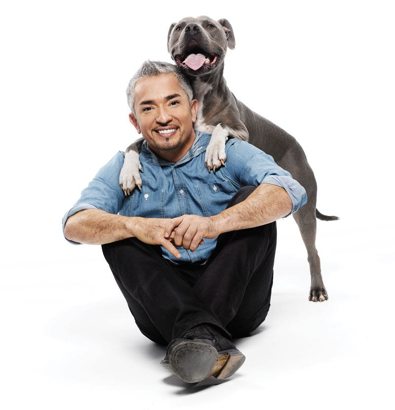 Cesar Millan - Creative Pet Alliance (UK) Ltd.