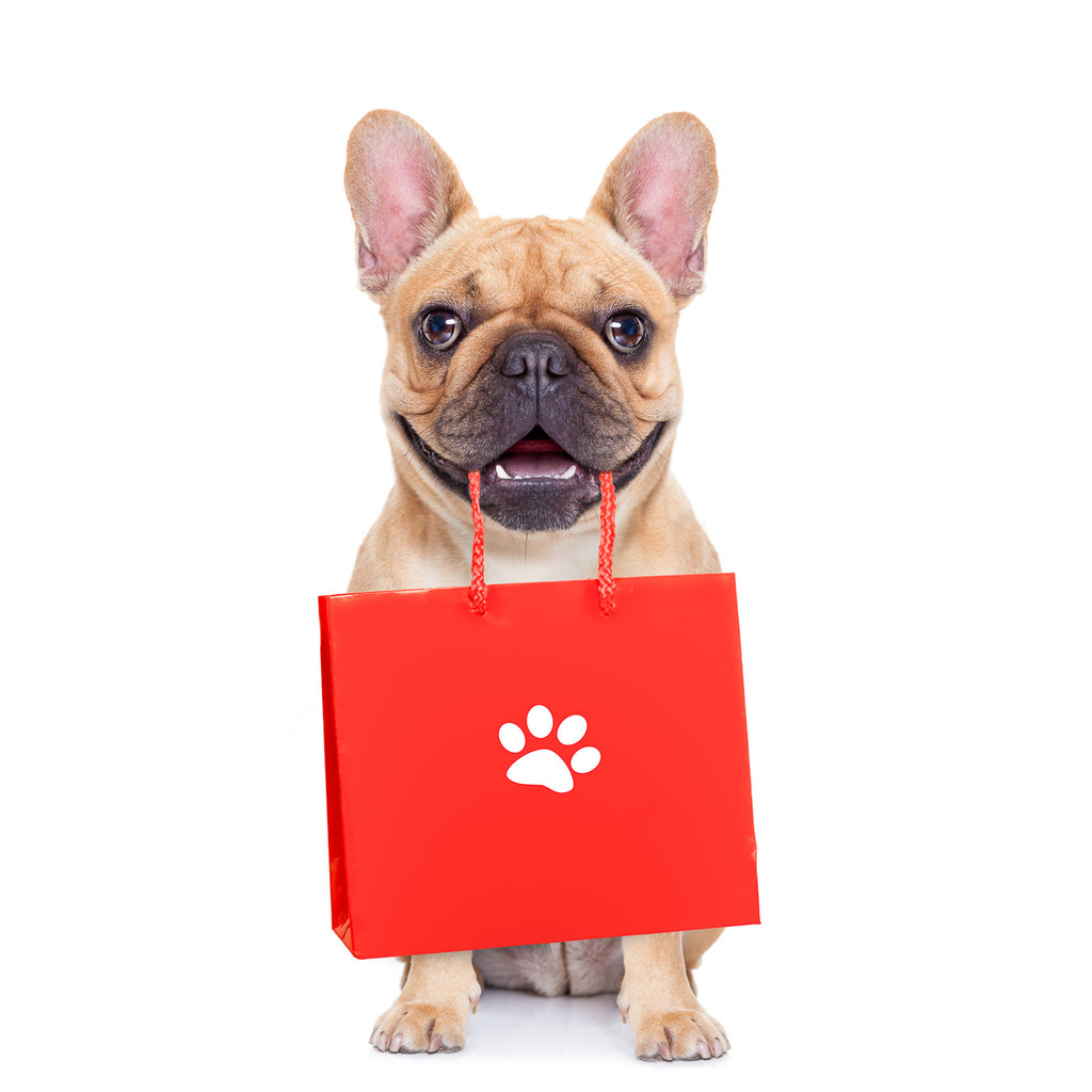 Creative Pet Alliance Sale