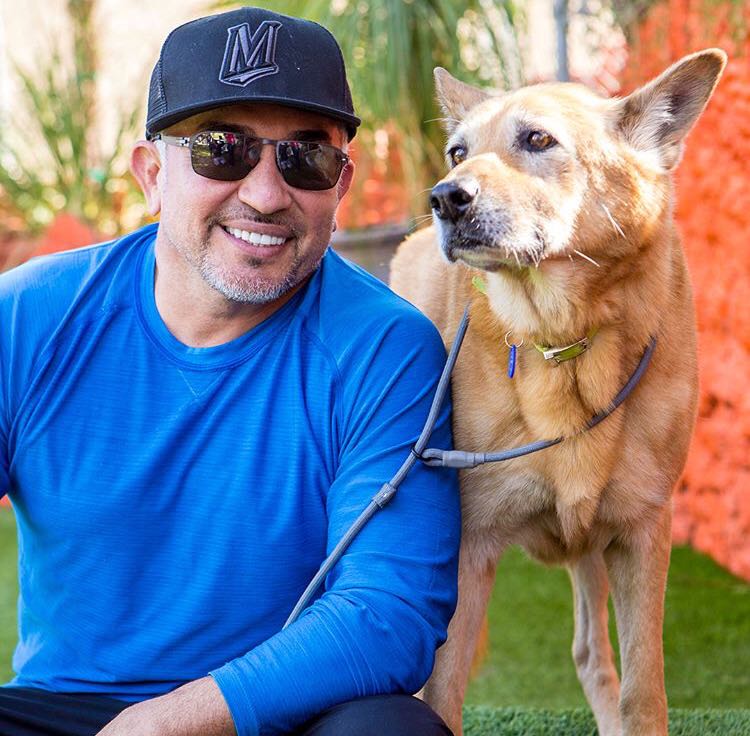 Dog whisperer leash training best sale