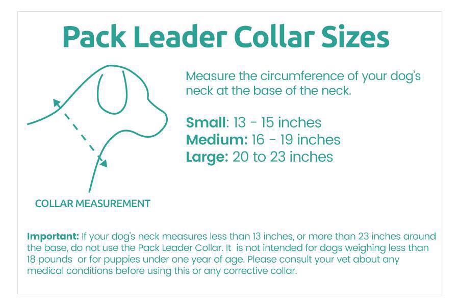 Pack leader collar deals australia